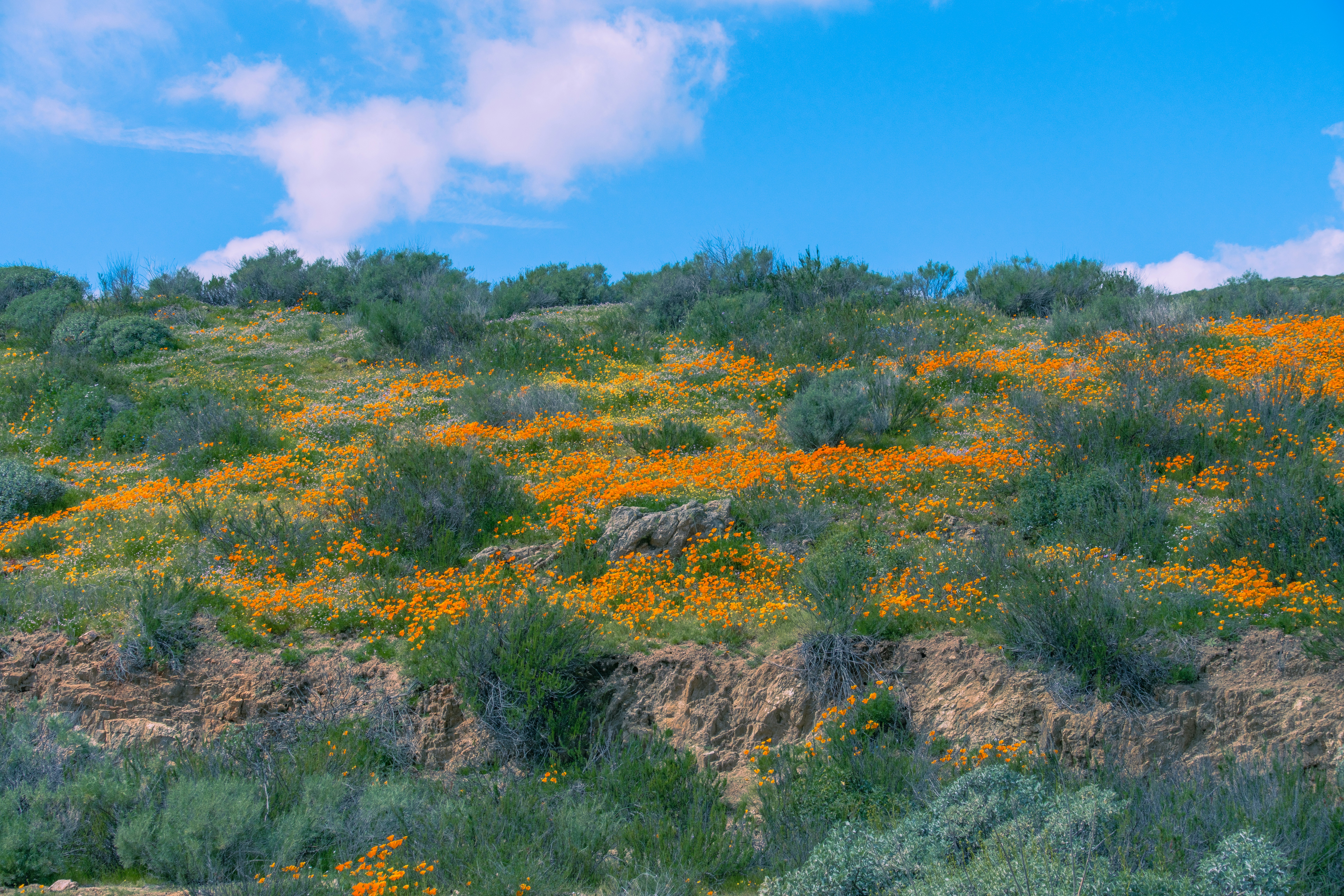 Photo by april_vasquez