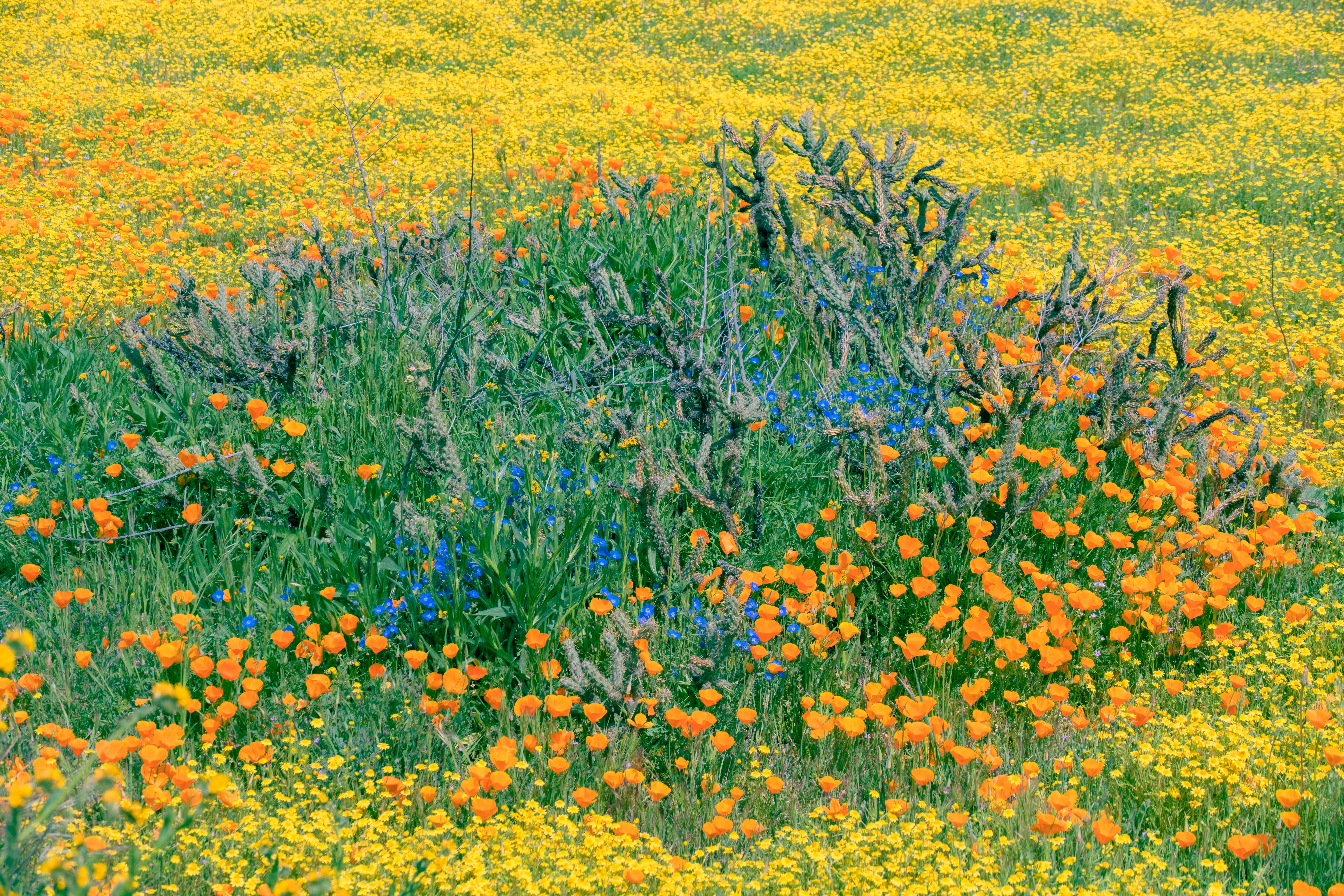 Photo by april_vasquez