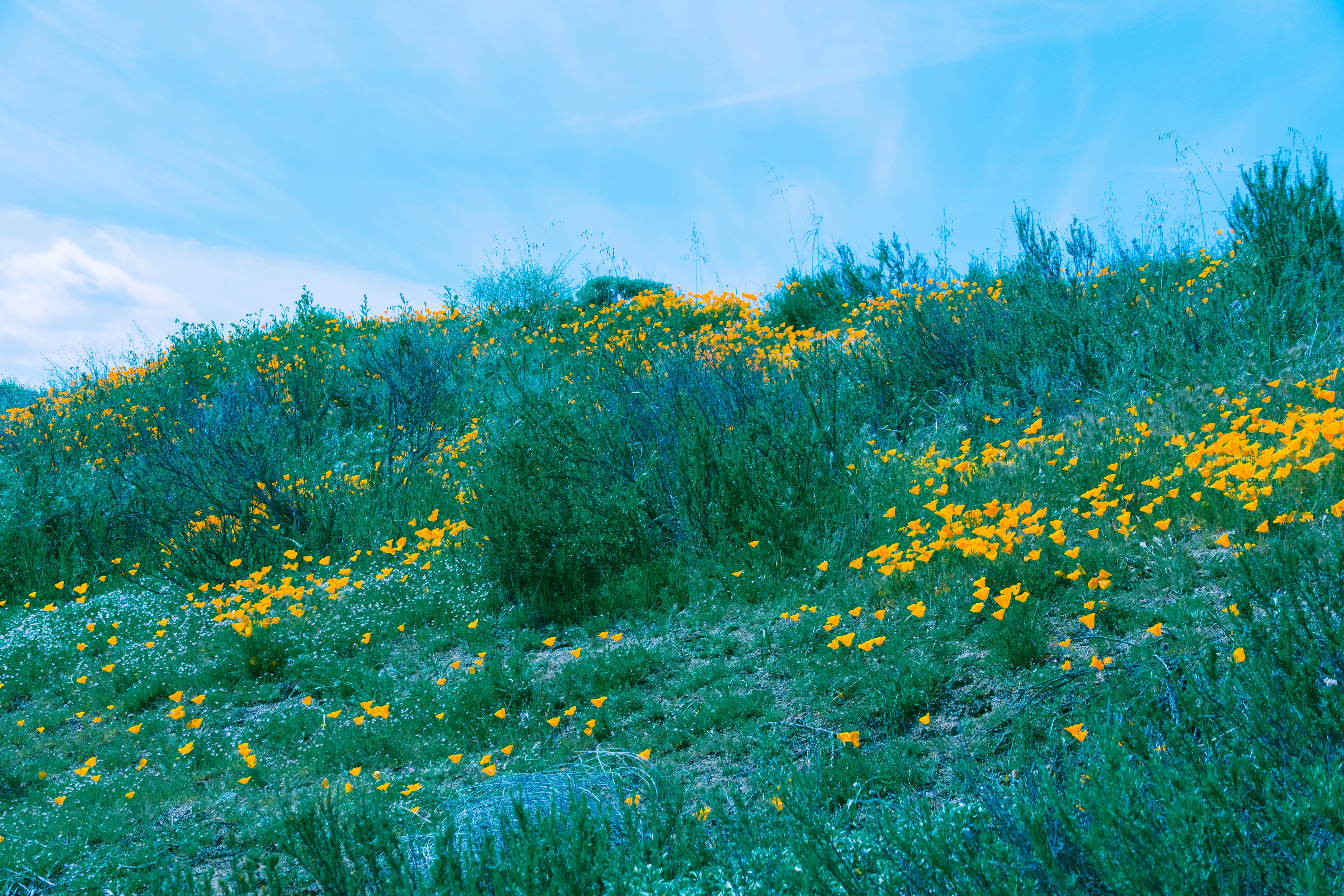 Photo by april_vasquez