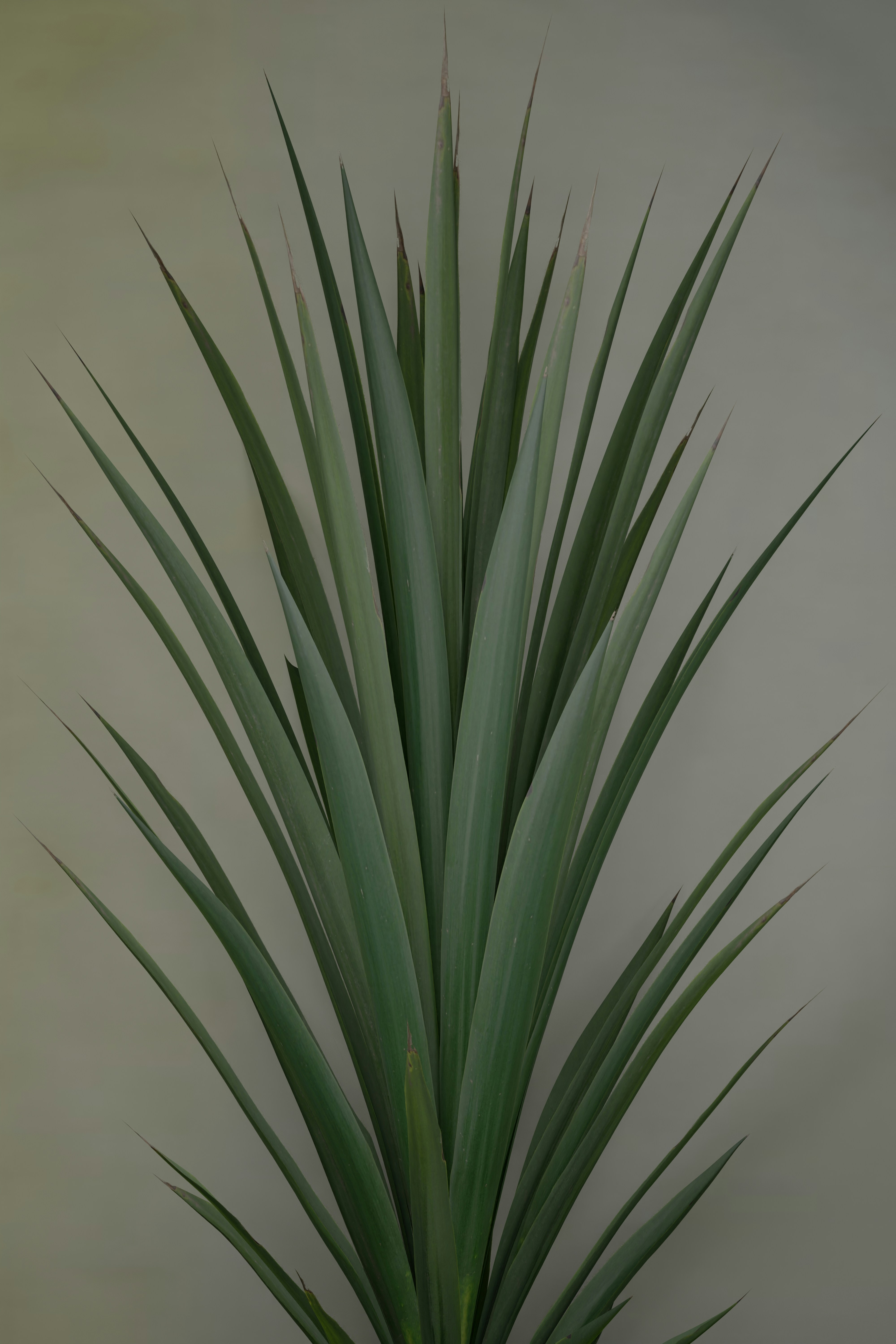 Photo by blenderdesigner