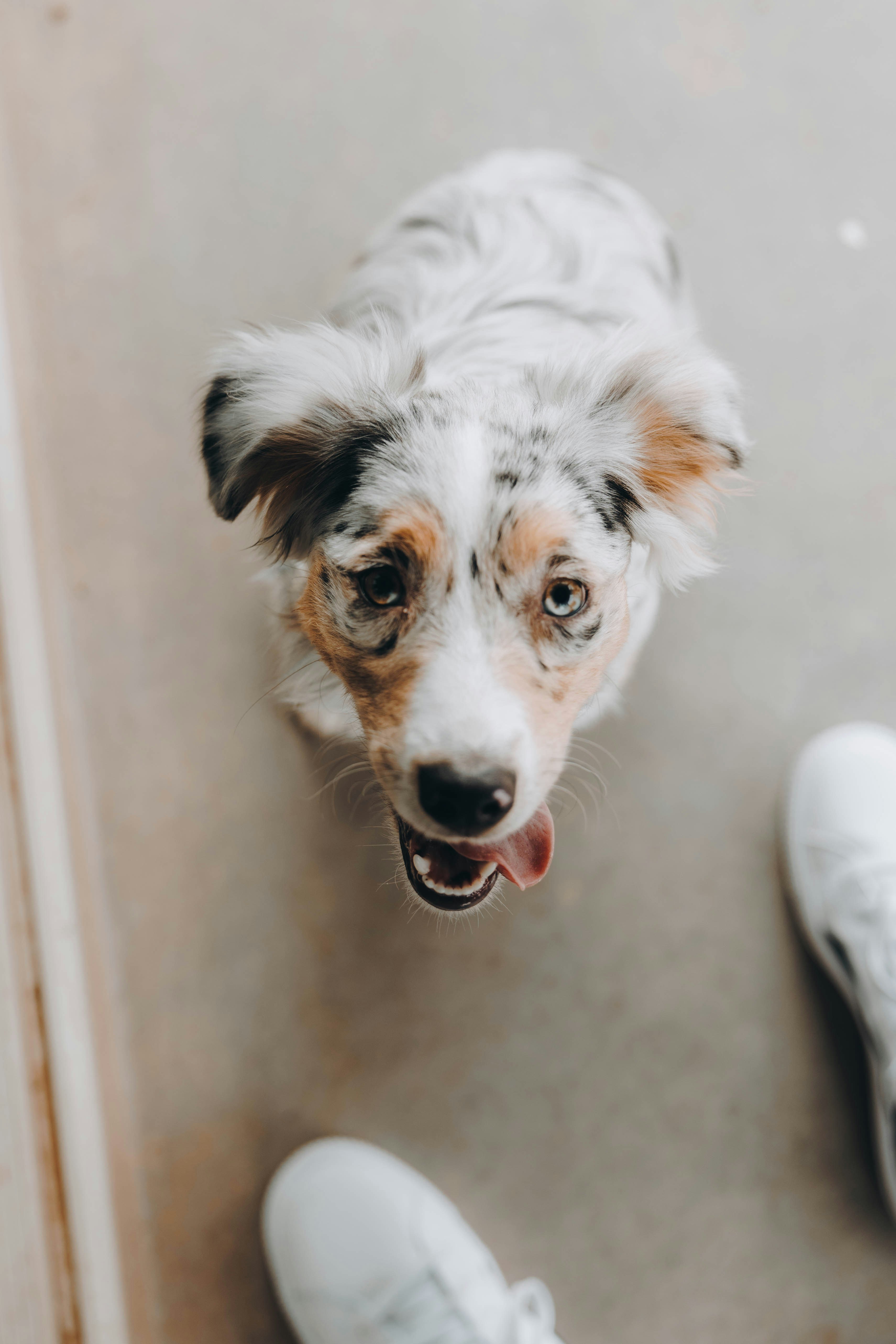 Photo by jeffersonsees