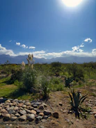A beautifully laid flagstone patio surrounded by native western Colorado plants under a clear blue sky.