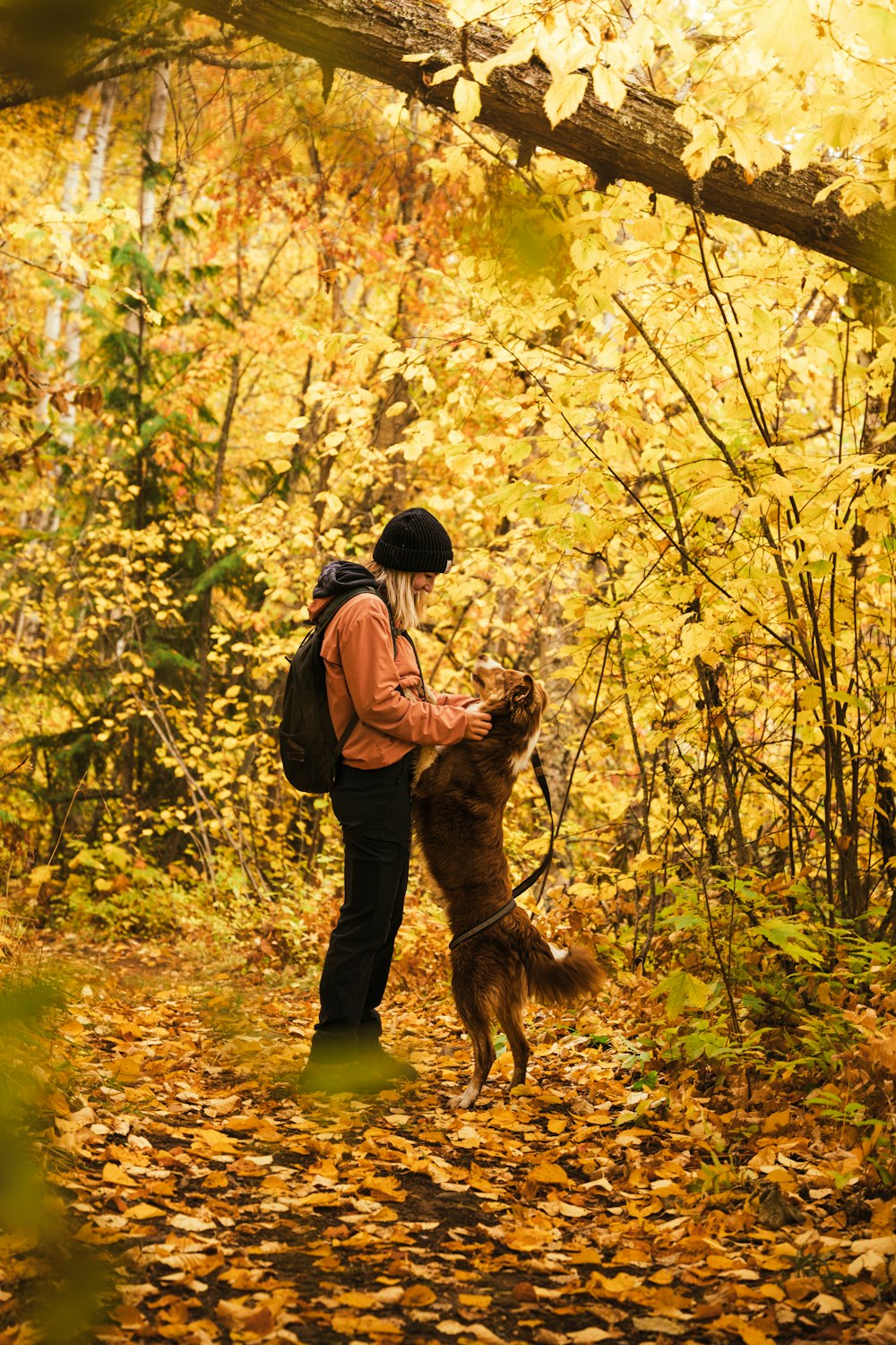 a person with a backpack and a dog in the woods