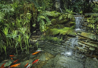 a small waterfall in the middle of a garden