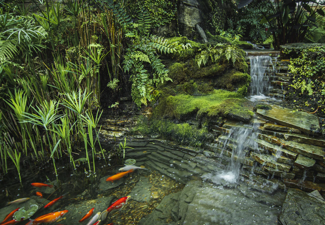 Water Features in Bethesda, MD