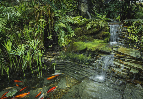 Water Features in Bethesda, MD