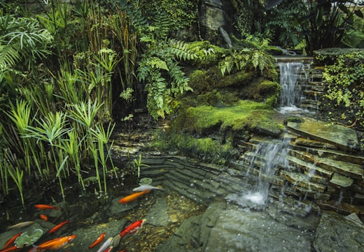 Vijver met waterval - voorbeeld vijverspecialist