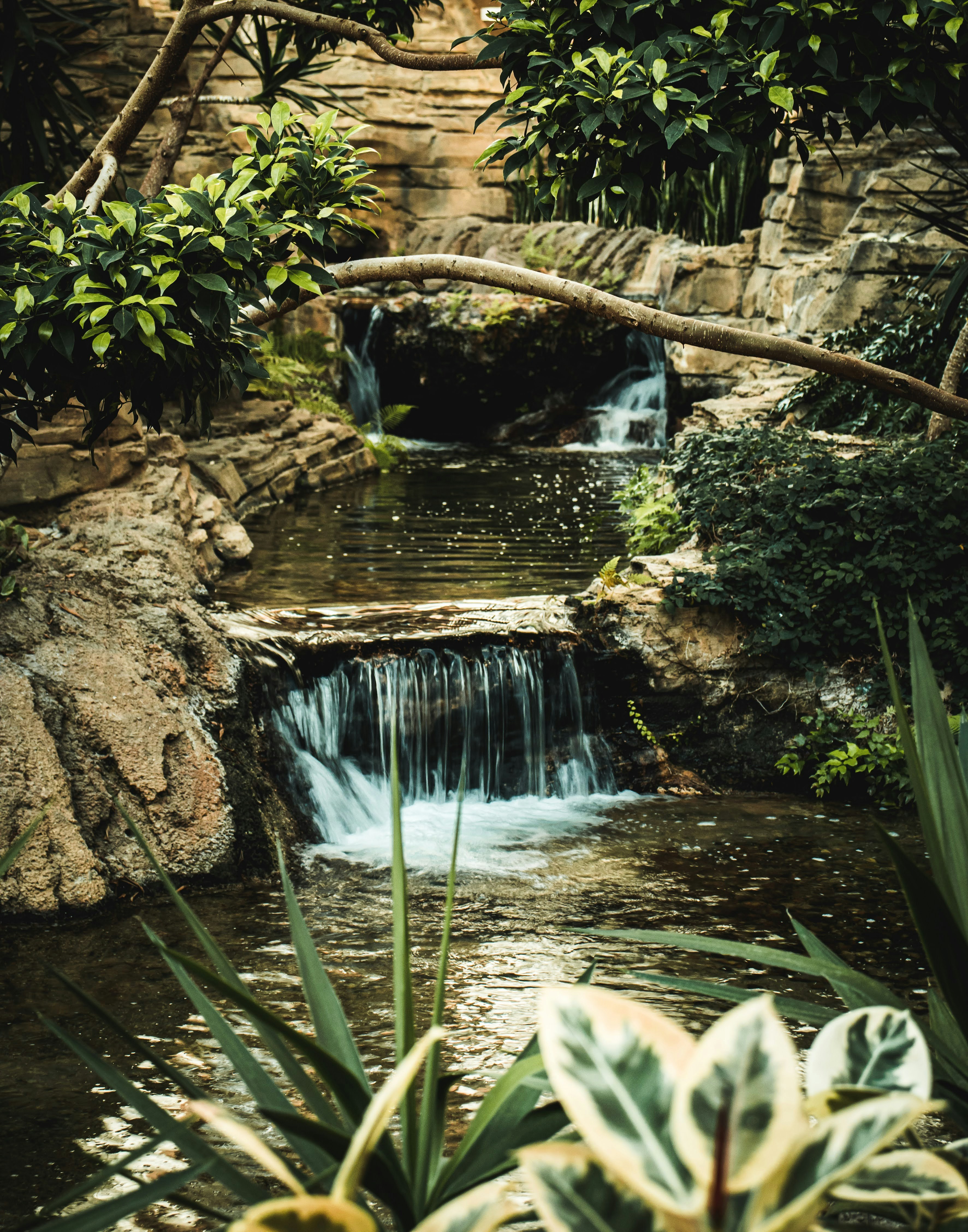 Photo by brice_cooper18