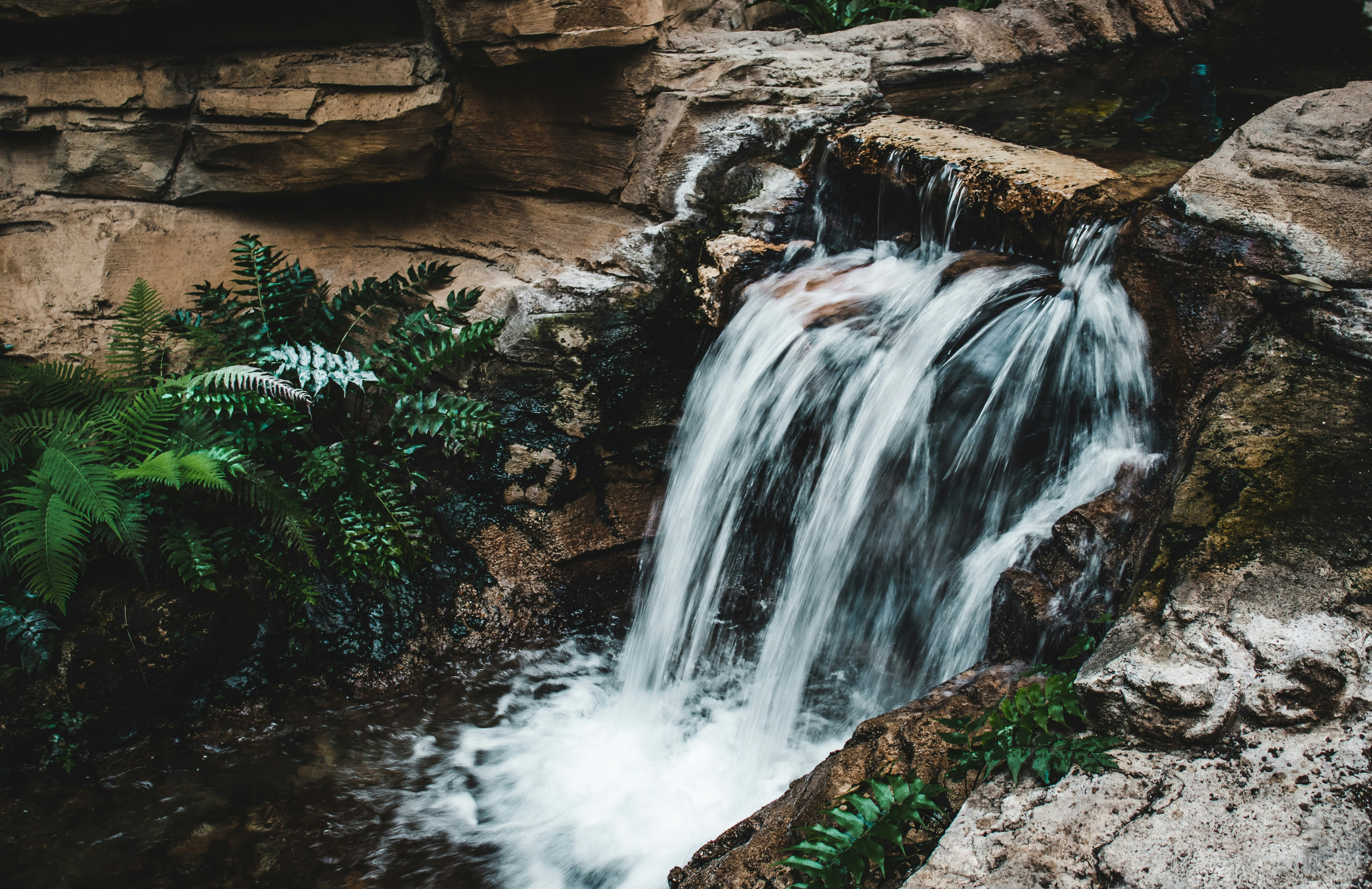 Photo by brice_cooper18