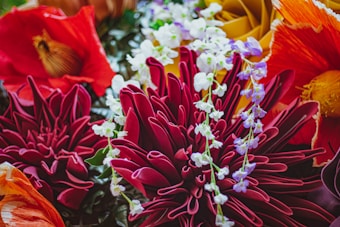 A vibrant bouquet of flowers in rich reds, deep purples, and bright oranges, adorned with delicate white and purple blossoms. The larger flowers have layered petals creating a lush, dense display.