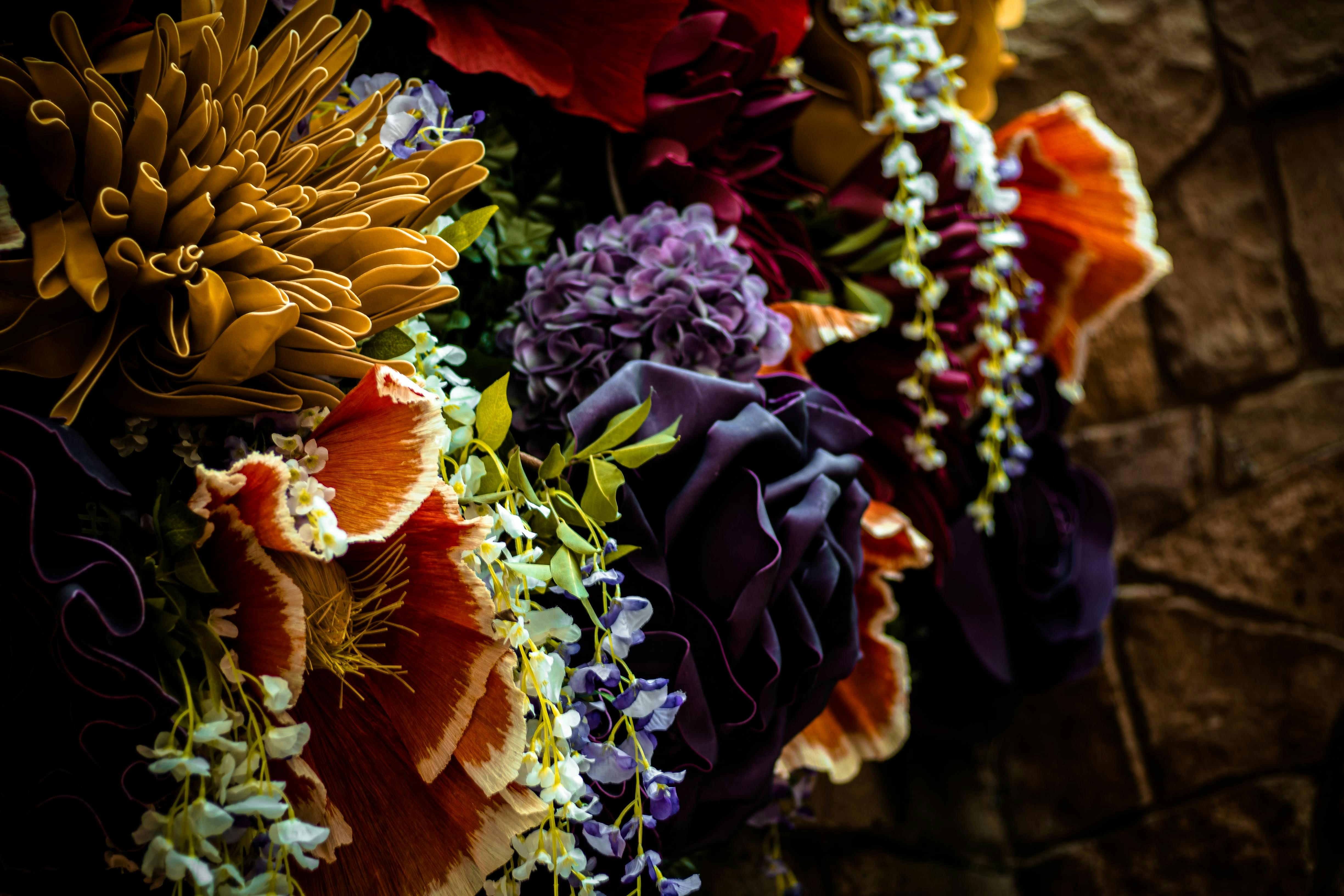 Photo by brice_cooper18