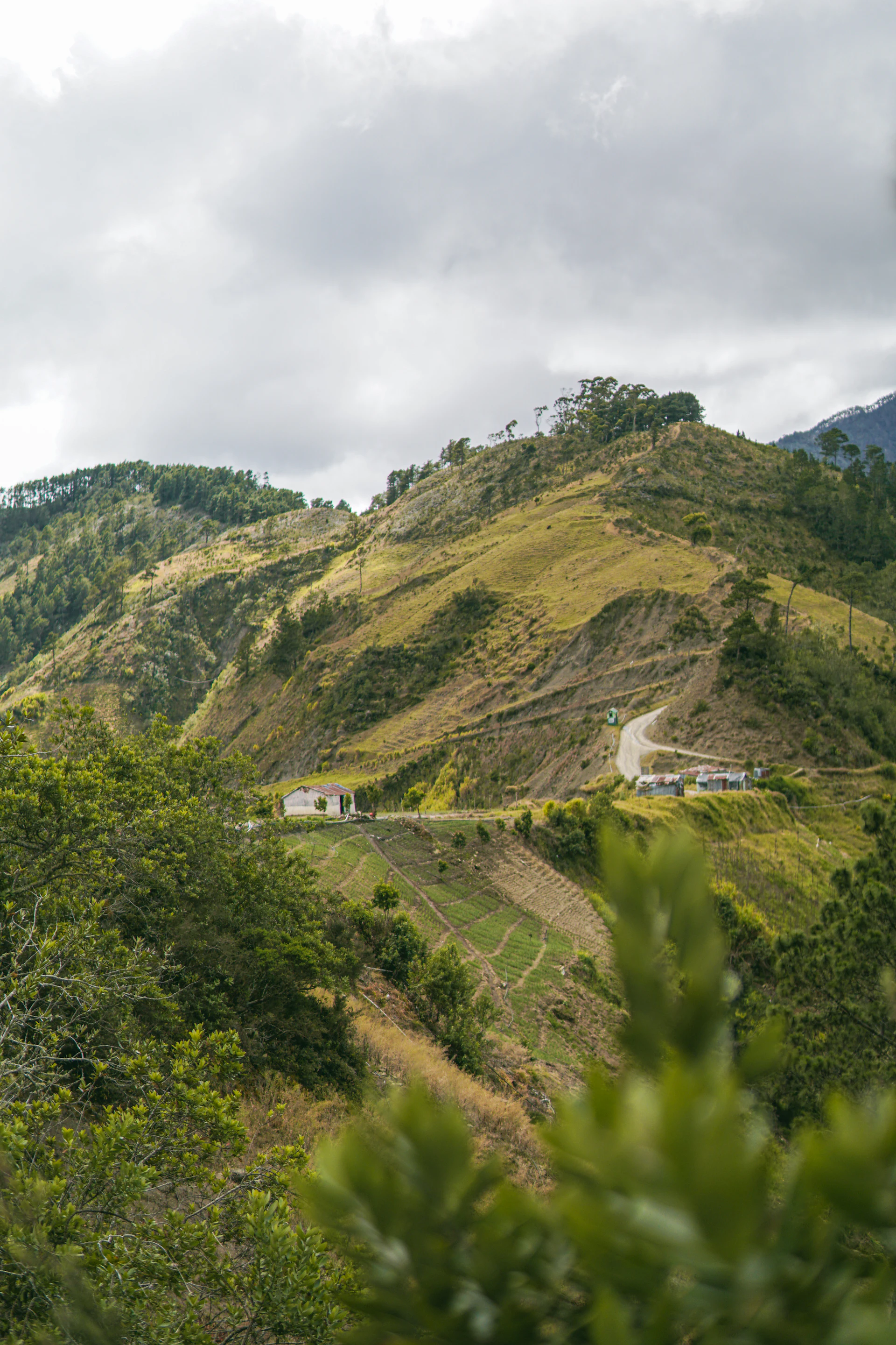 Green mountain slopes and farmland in Constanza