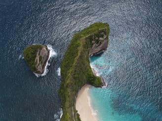 Panoramic shot of Isla Isabel’s lush island vegetation meeting the ocean