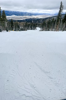 Snowy slopes at Stevens Pass during winter.