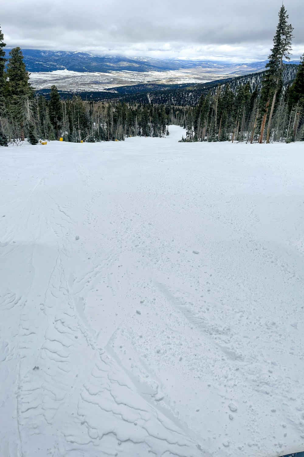 a person riding skis on a snowy surface