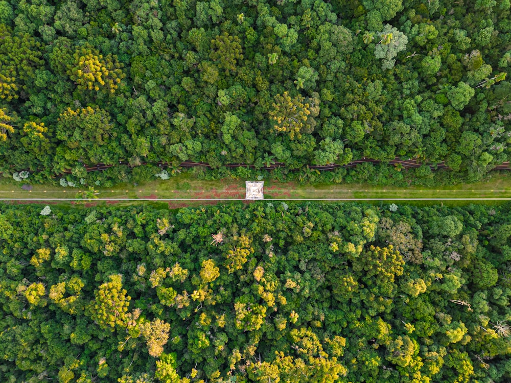 an aerial view of a road in the middle of a forest