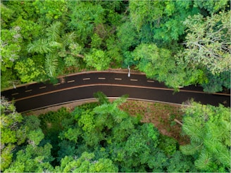 an aerial view of a road in the middle of a forest