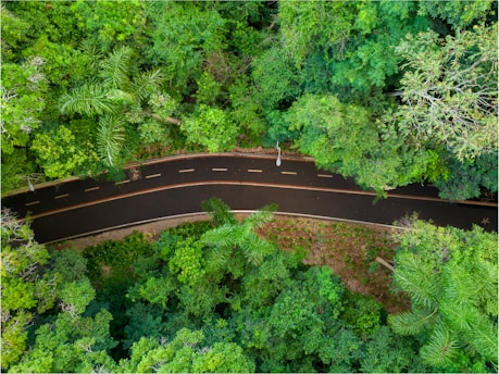 an aerial view of a road in the middle of a forest