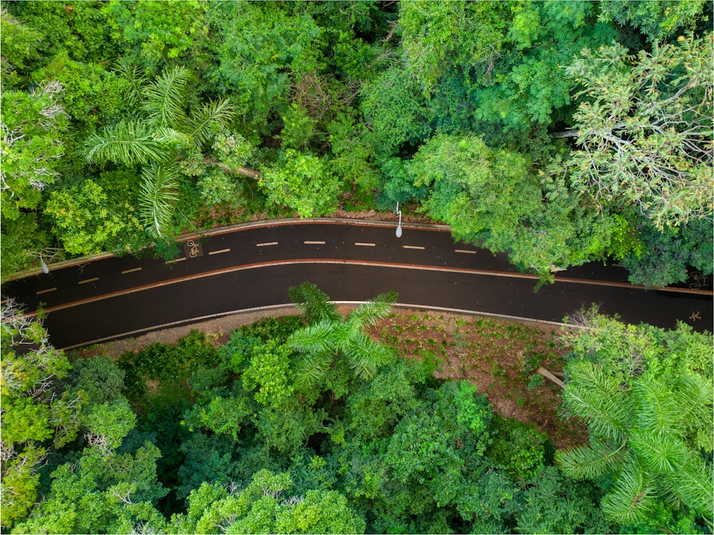 an aerial view of a road in the middle of a forest