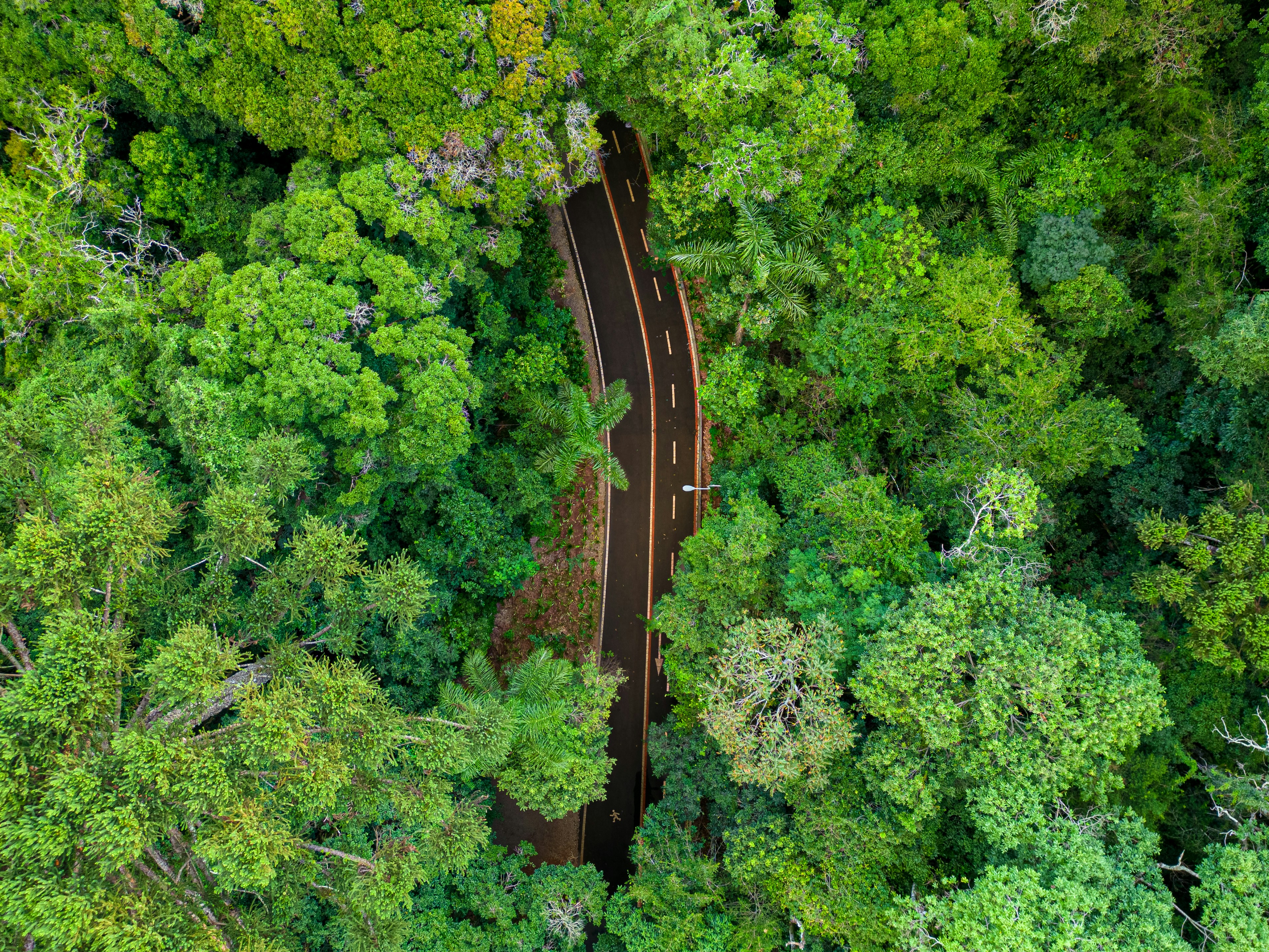 Photo by jpedroschmitz