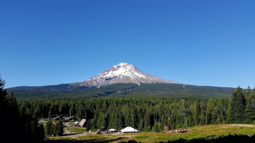 a view of a mountain with a forest in the foreground