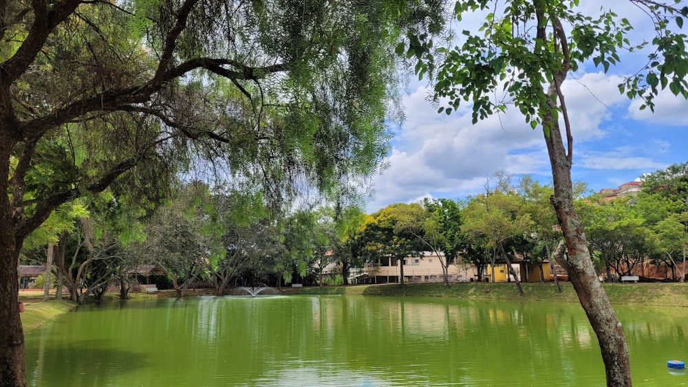 a body of water surrounded by trees and buildings