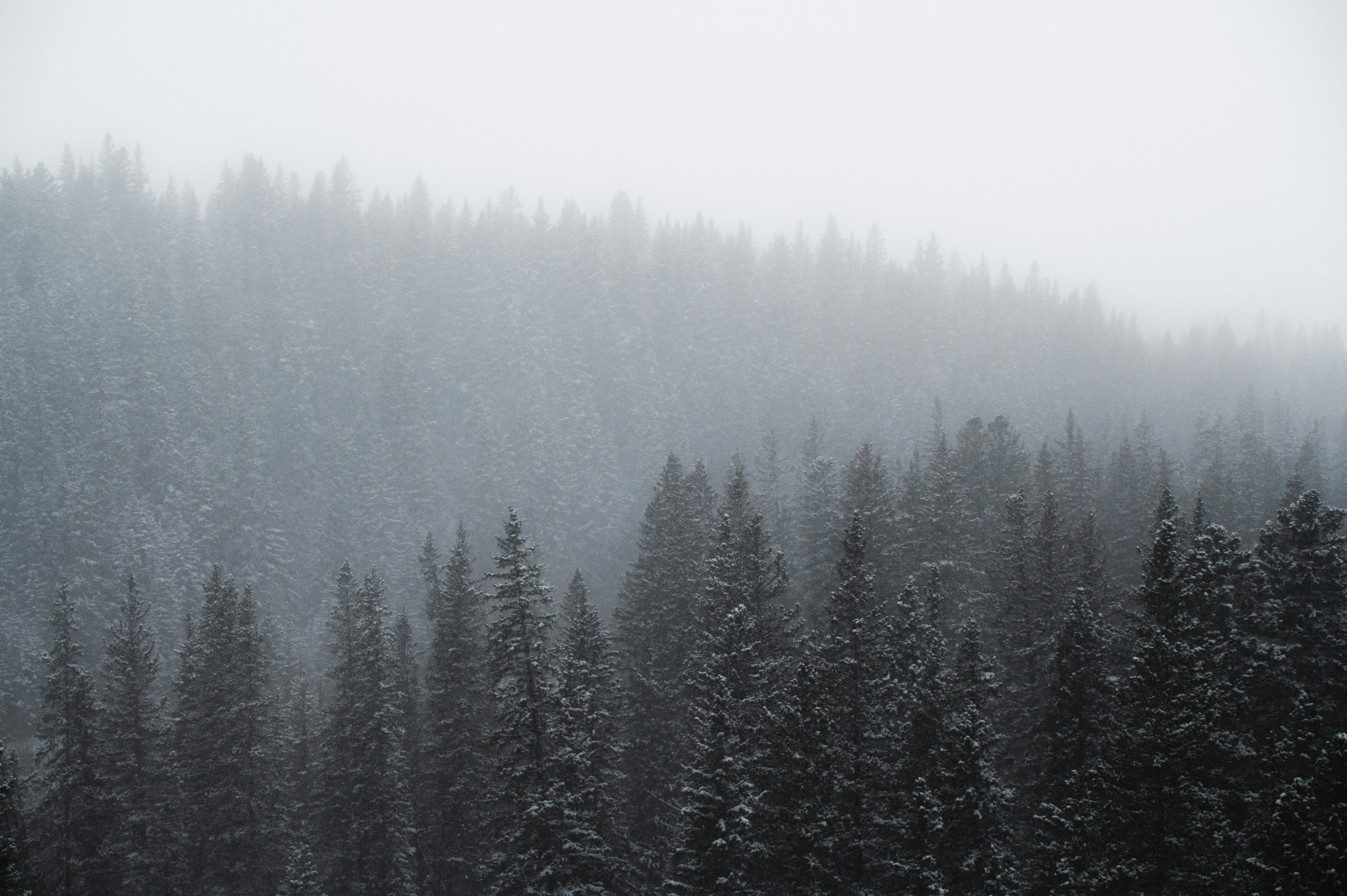 Photo by ryunosuke_kikuno