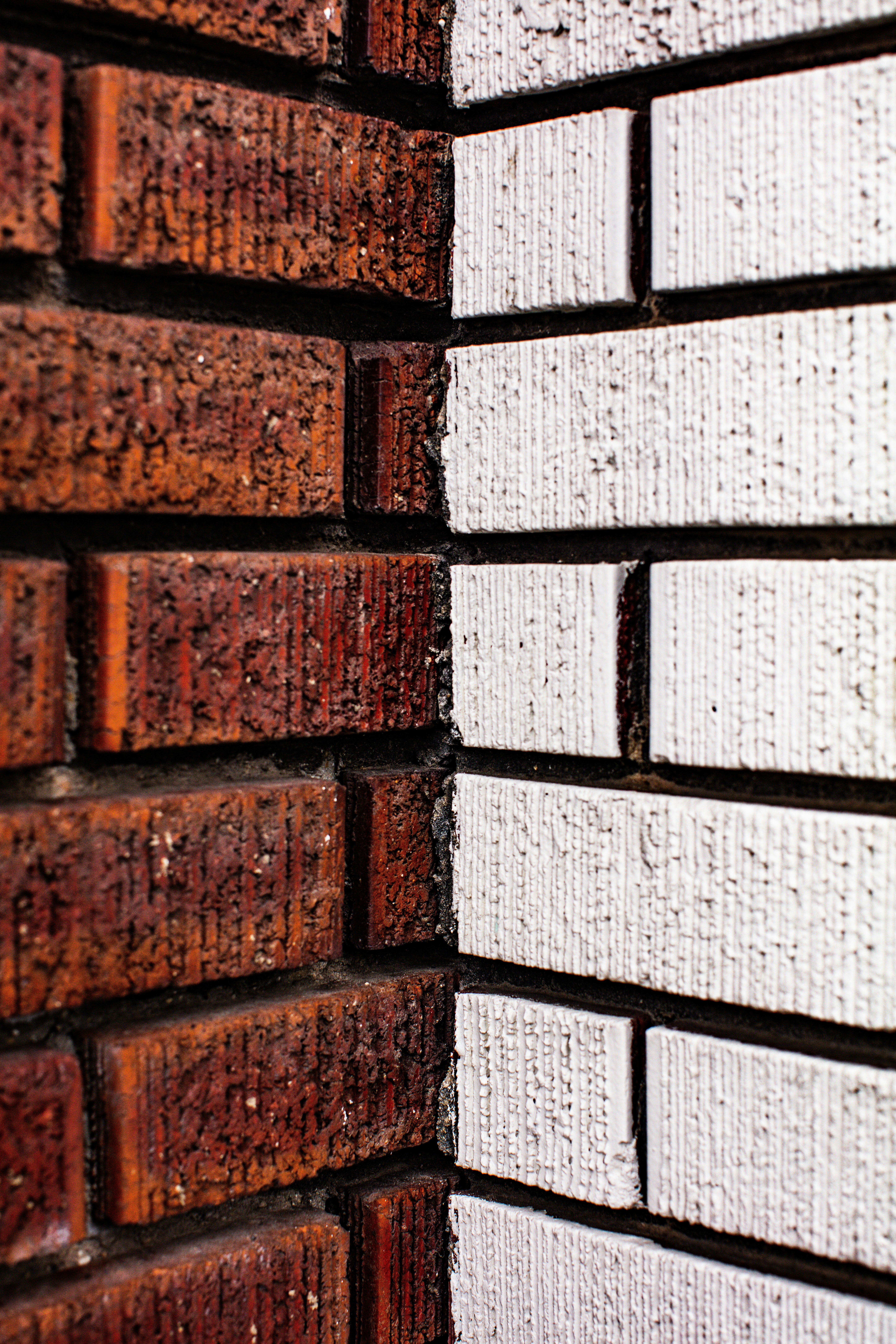 Photo by worldsbetweenlines