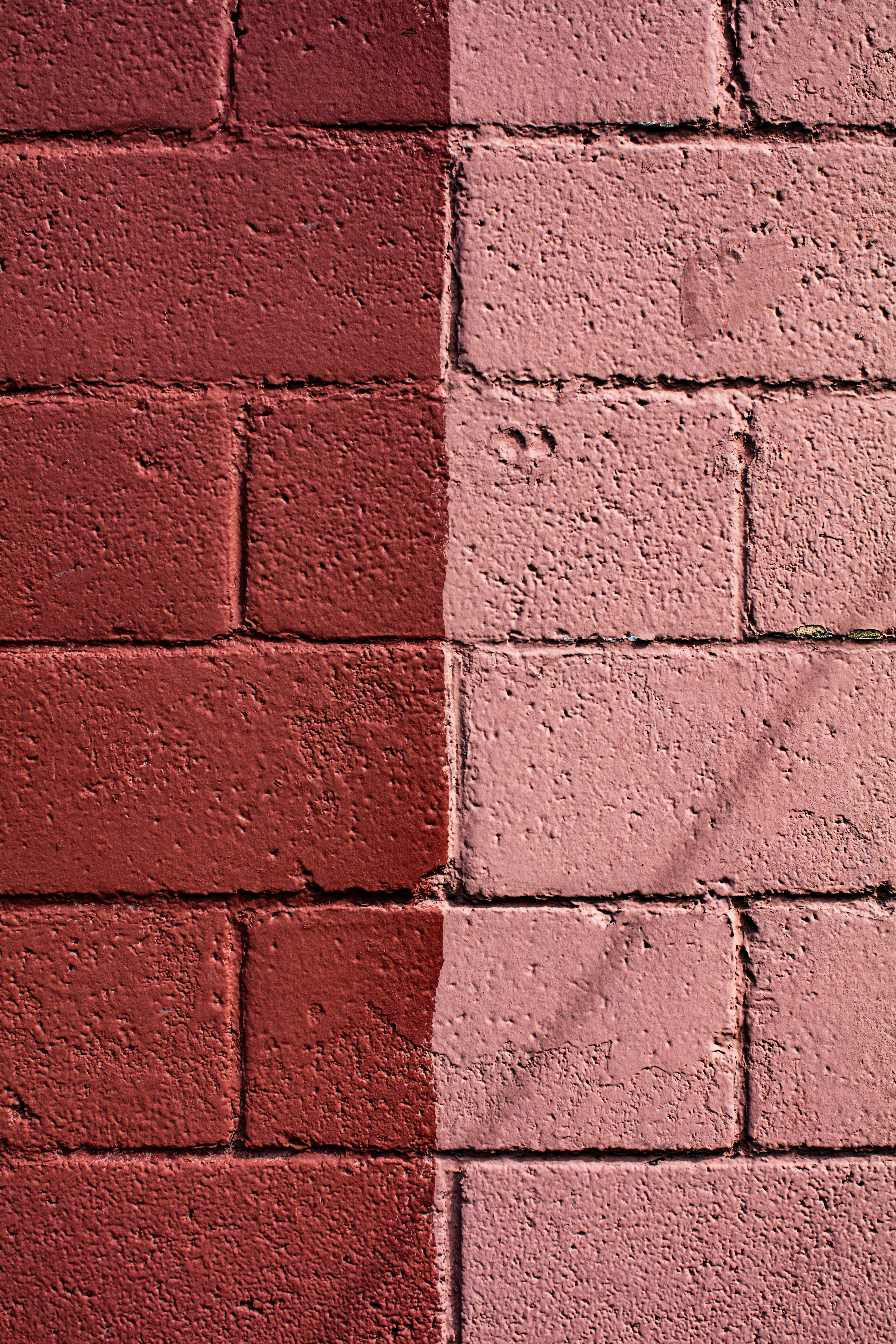 Photo by worldsbetweenlines