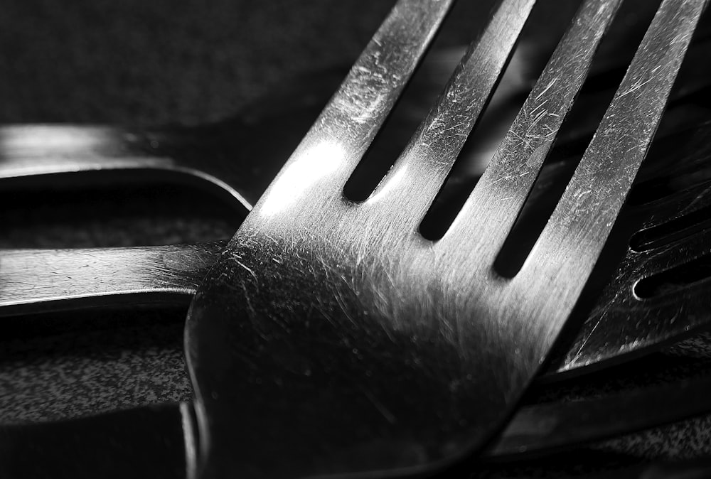 a black and white photo of a fork and knife