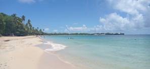 A serene beach with soft white sand and gentle waves.