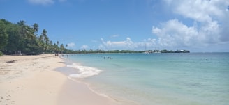 A serene beach with soft white sand and gentle waves.