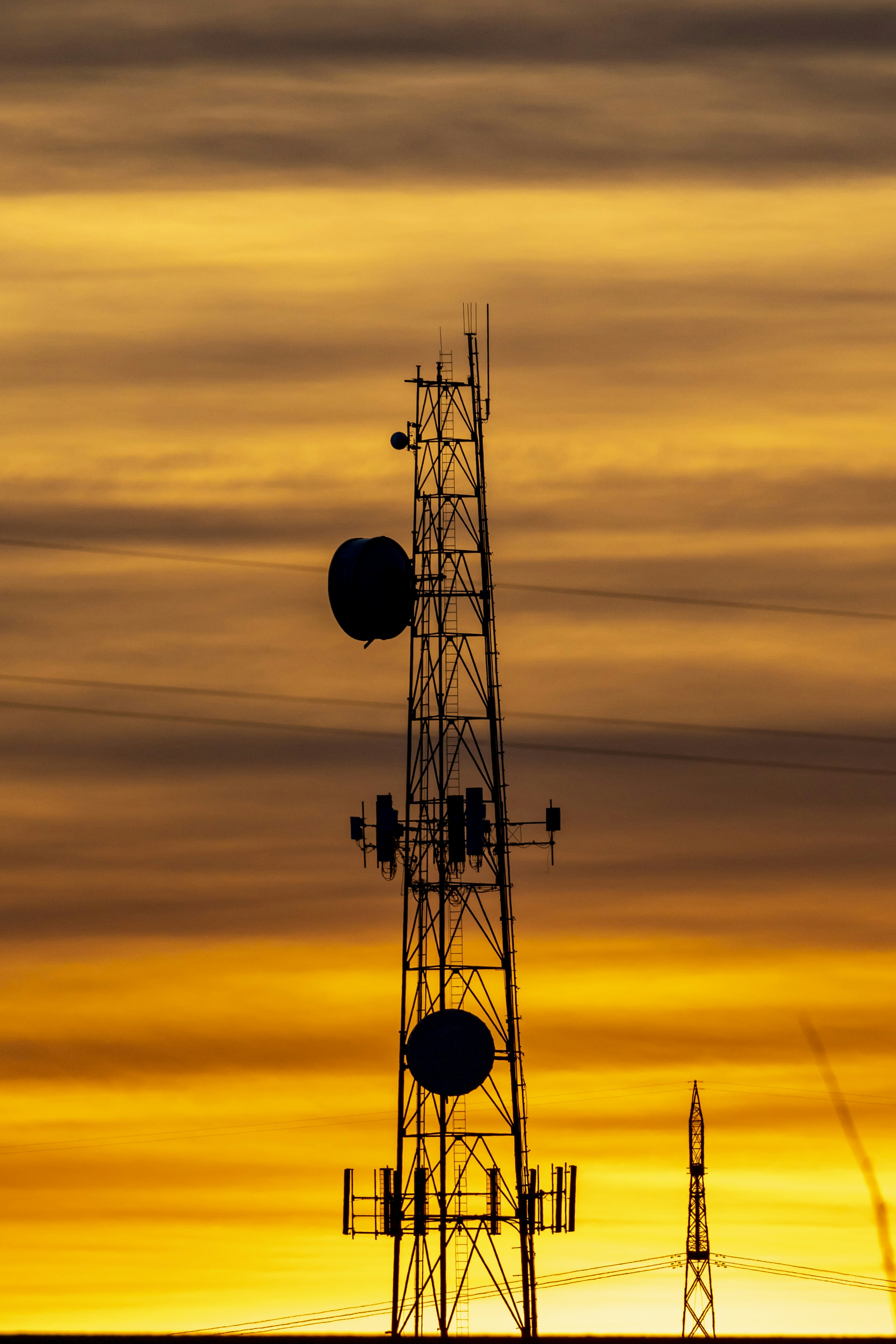 Photo by leo_visions_