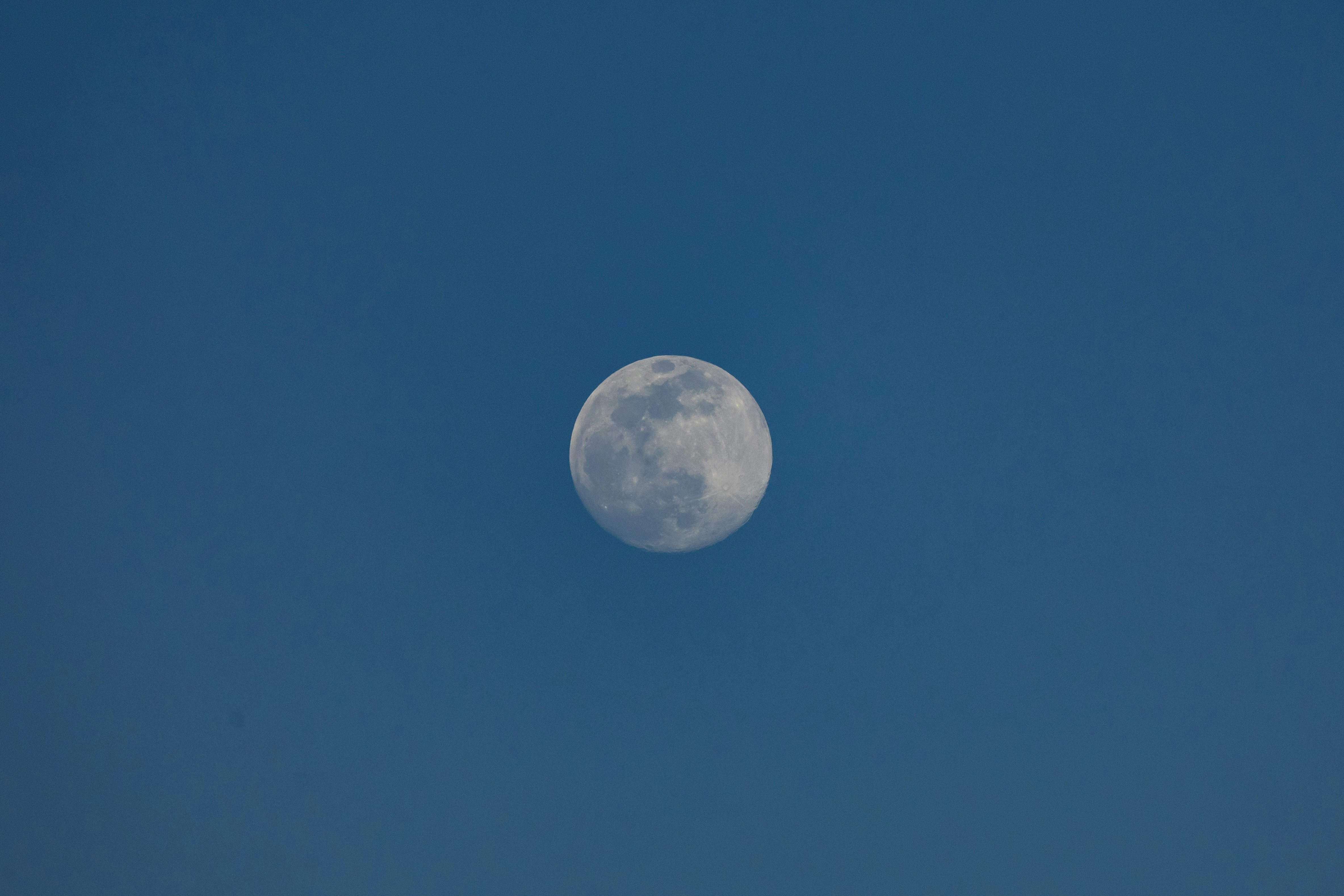 Photo by leo_visions_