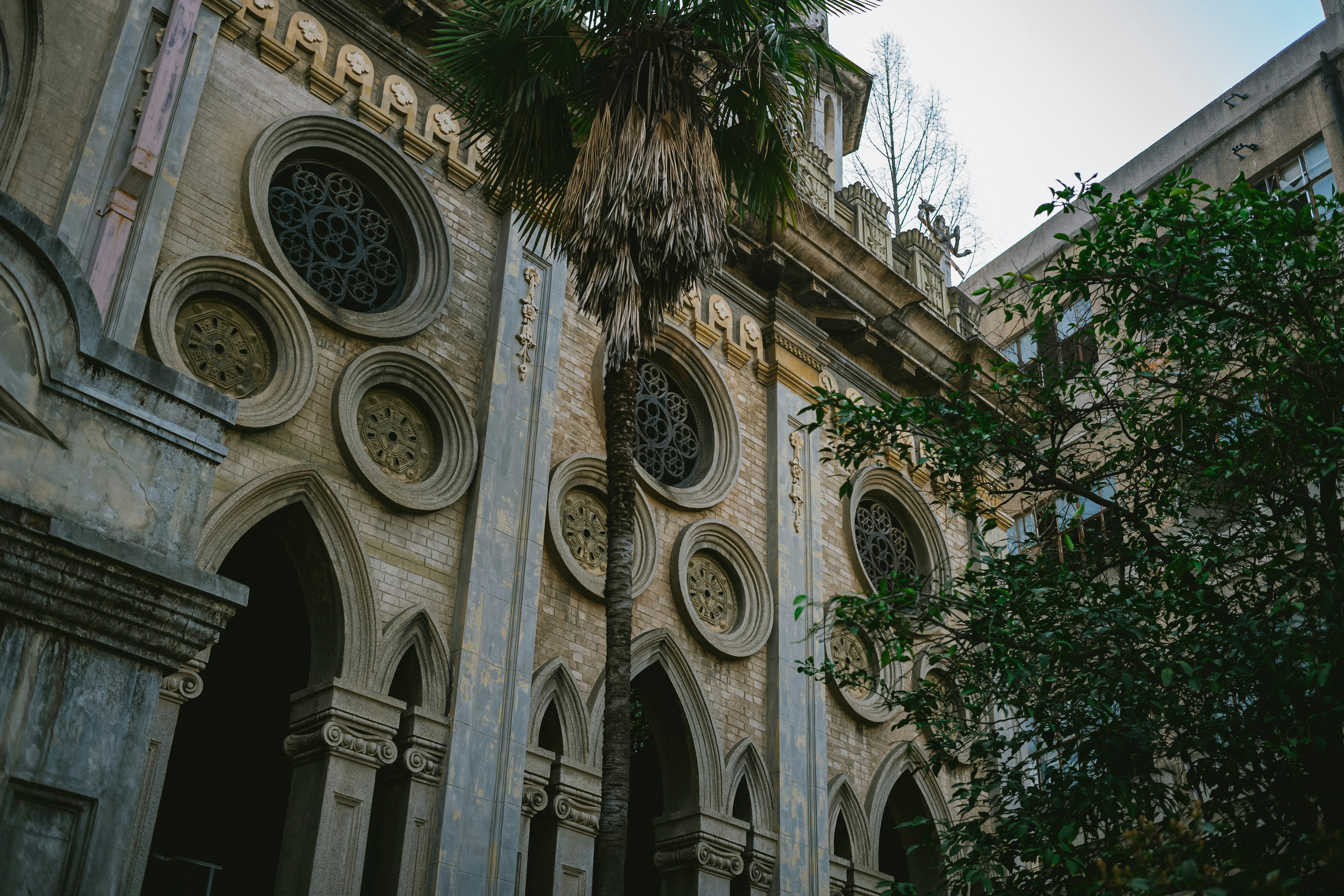 Photo by tommaomaoer