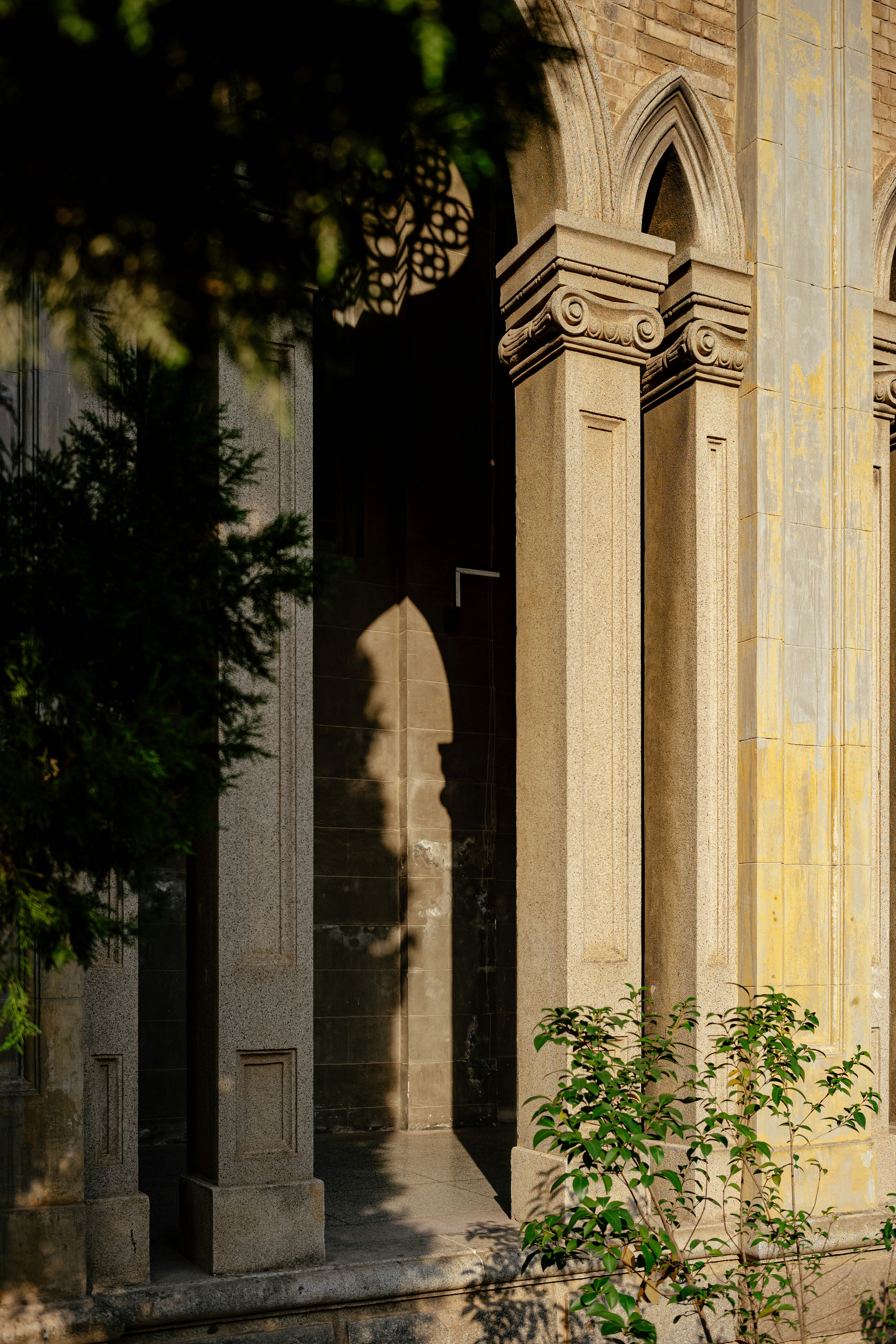 Photo by tommaomaoer