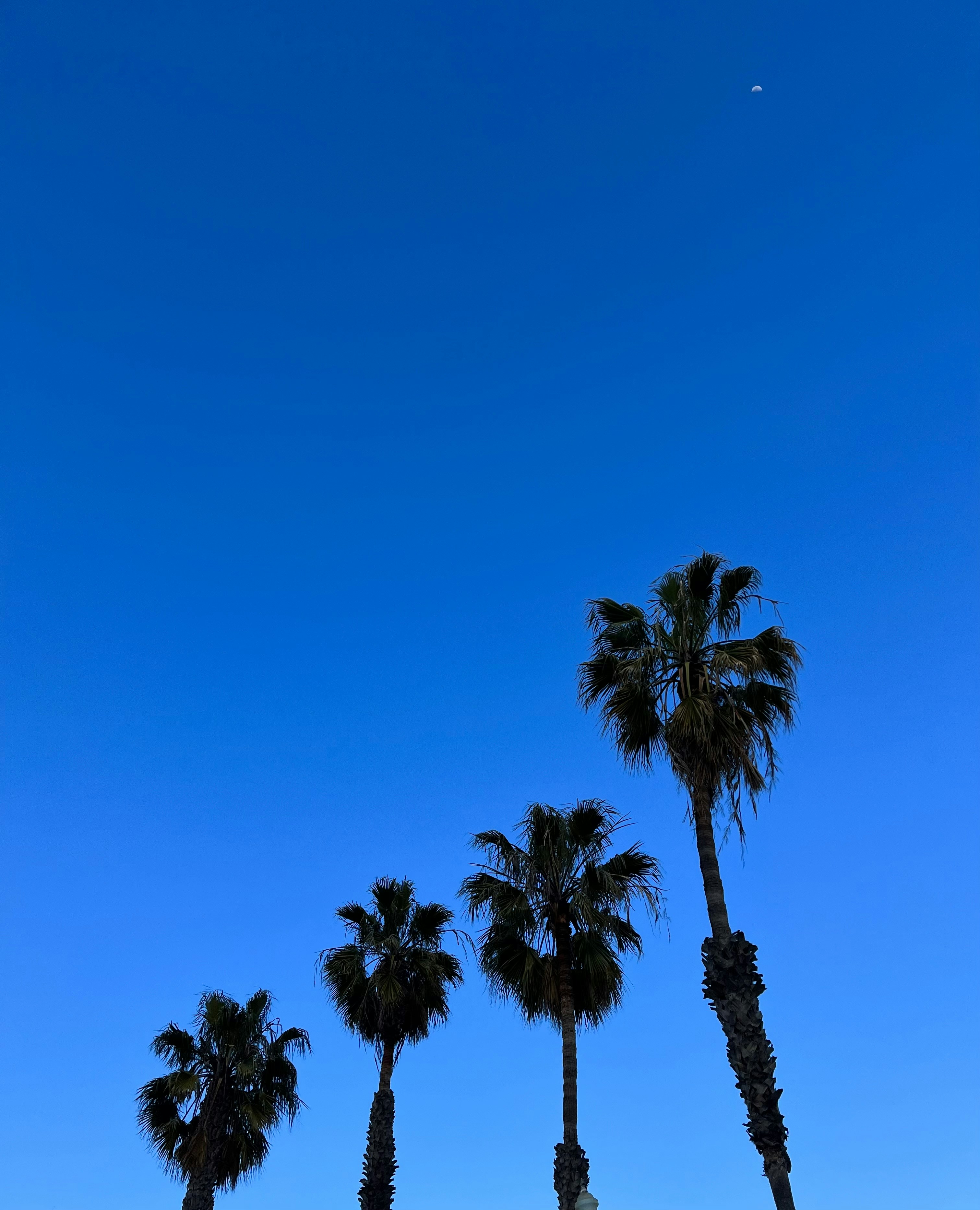 Photo by sebastian_lar