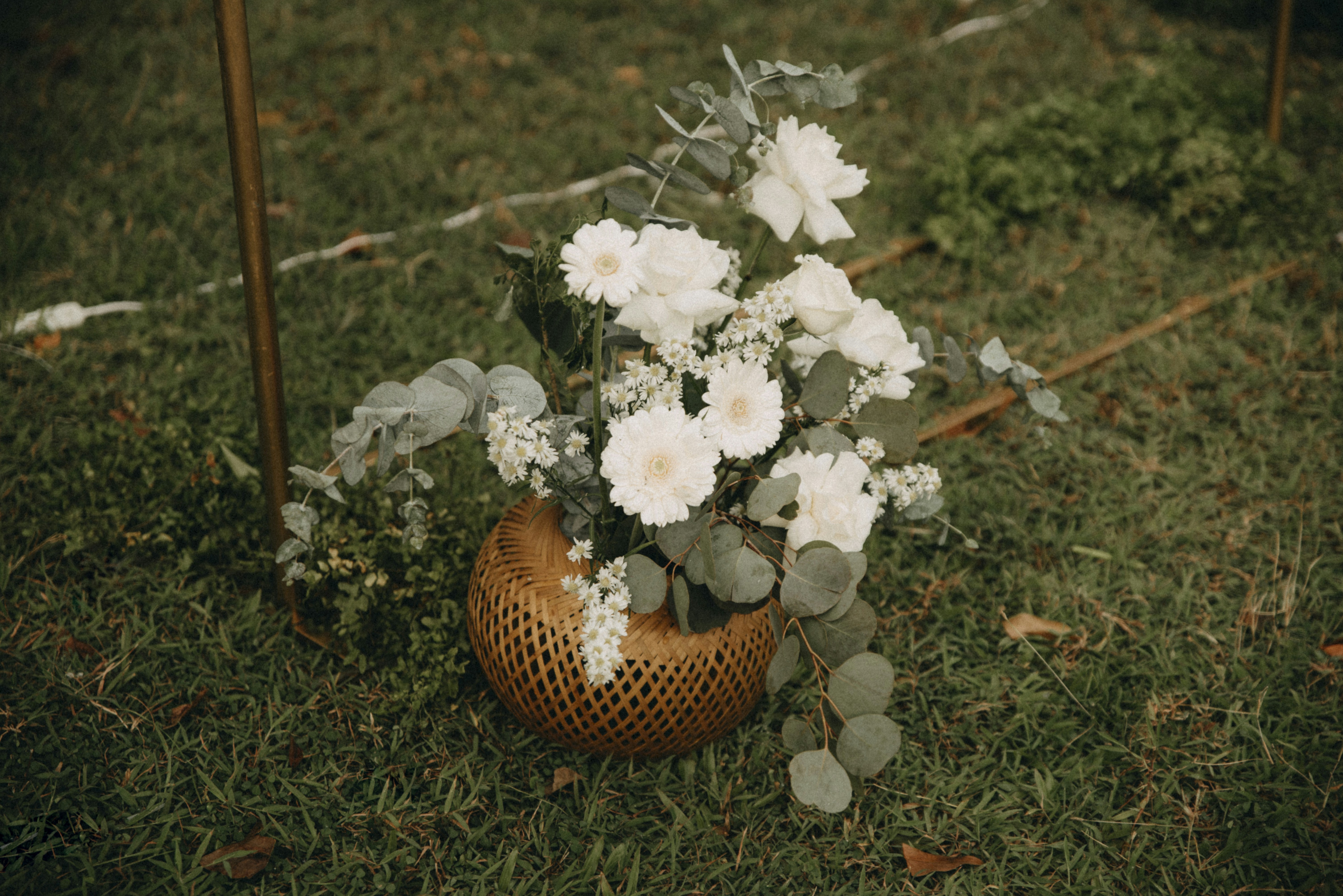 Photo by nguyentrungnguyen