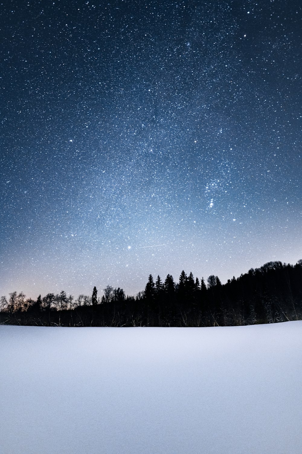 the night sky with stars above a snowy field
