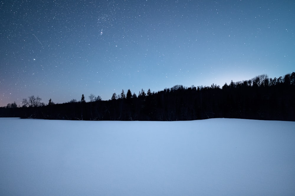 a snow covered field with trees in the background