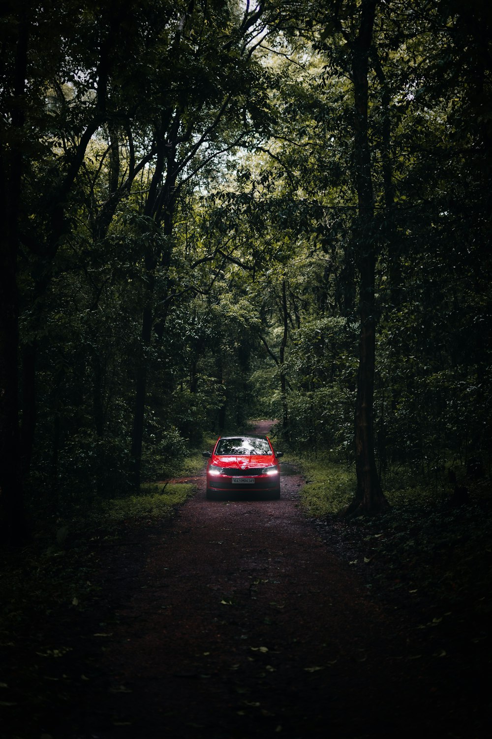 a red car driving down a forest road