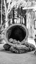 A black and white photograph features a circular concrete pipe lying on its side, surrounded by large, rough stones. Inside the pipe, there are two wrapped objects. A potted plant with long leaves is visible on the left side, while in the background, a structure with wooden walls stands amidst trees.
