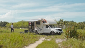 A white camper van is parked in a grassy field with an awning extended and outdoor chairs set up beside it. A person is walking towards the van from the left. The surroundings are filled with lush green vegetation and palm trees, under a clear blue sky with a few clouds.