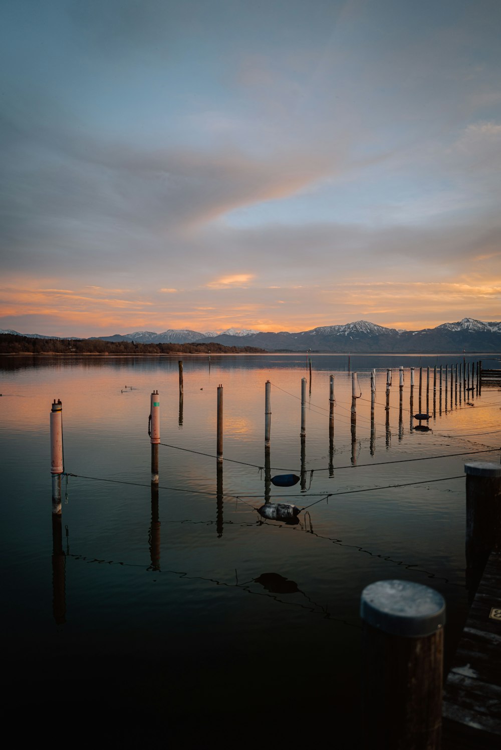 a body of water with poles sticking out of it