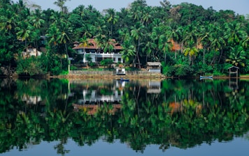 a house on the shore of a lake surrounded by palm trees