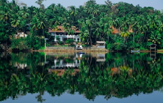 a house on the shore of a lake surrounded by palm trees