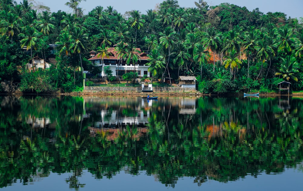 a house on the shore of a lake surrounded by palm trees