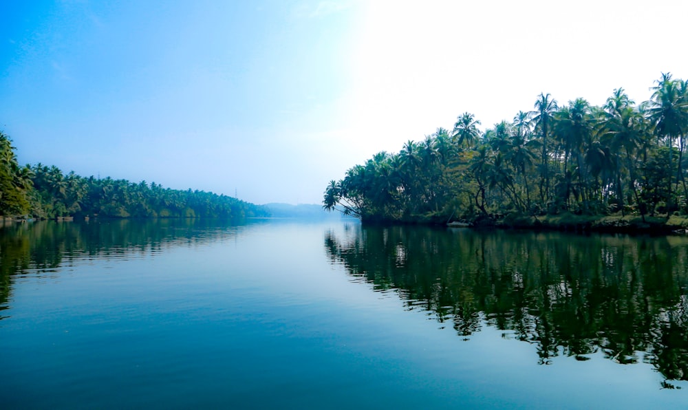 a body of water surrounded by palm trees