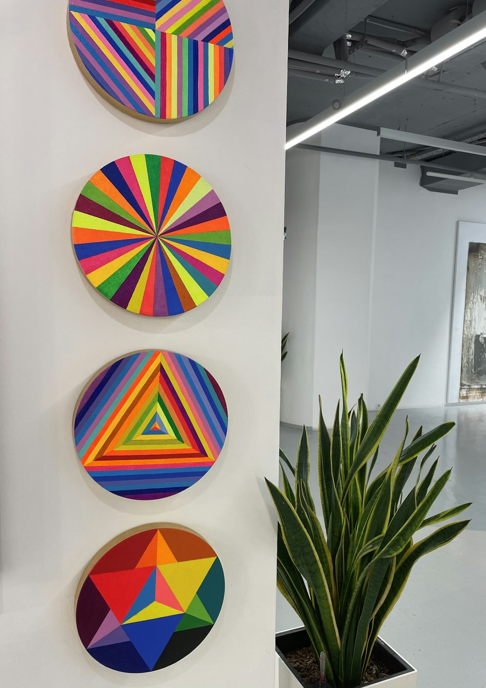 a group of three circular paintings on a wall
