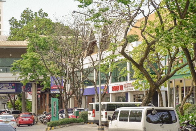A bustling urban environment with a mix of modern buildings and lush trees lining the street. Vehicles, including cars and vans, are parked and moving along the road. Various businesses with signage are visible, contributing to a lively city atmosphere.